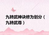 九轉(zhuǎn)武神訣修為劃分（九轉(zhuǎn)武尊）