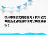 杭州市內(nèi)公交線路查詢（杭州公交 中國浙江省杭州市境內(nèi)公共交通系統(tǒng)）