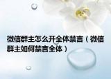 微信群主怎么開(kāi)全體禁言（微信群主如何禁言全體）