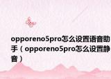 opporeno5pro怎么設(shè)置語(yǔ)音助手（opporeno5pro怎么設(shè)置靜音）