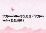 華為nova8se怎么分屏（華為nova8se怎么分屏）