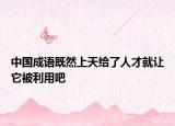 中國成語既然上天給了人才就讓它被利用吧