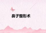 鼻子整形術(shù)