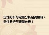 定性分析與定量分析名詞解釋（定性分析與定量分析）