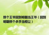 拐個王爺回到明朝當王爺（回到明朝拐個殺手當相公）