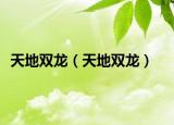 天地雙龍（天地雙龍）