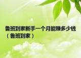 魯班到家新手一個(gè)月能賺多少錢（魯班到家）