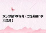 歡樂頌第3季簡(jiǎn)介（歡樂頌第3季大結(jié)局）