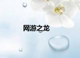 網(wǎng)游之龍