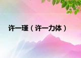 許一瑾（許一力體）