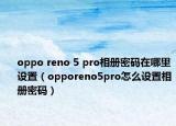oppo reno 5 pro相冊密碼在哪里設(shè)置（opporeno5pro怎么設(shè)置相冊密碼）