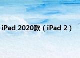 iPad 2020款（iPad 2）