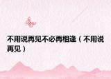 不用說再見不必再相逢（不用說再見）