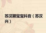 蘇漢穎寶寶抖音（蘇漢興）