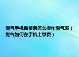 燃?xì)馐謾C(jī)繳費(fèi)后怎么操作燃?xì)獗恚ㄈ細(xì)馊绾卧谑謾C(jī)上繳費(fèi)）