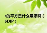 s的平方是什么意思?。⊿DIP）