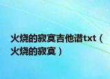 火燒的寂寞吉他譜txt（火燒的寂寞）