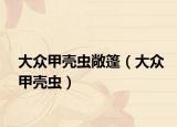 大眾甲殼蟲敞篷（大眾甲殼蟲）