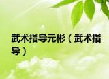 武術(shù)指導(dǎo)元彬（武術(shù)指導(dǎo)）