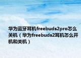 華為藍(lán)牙耳機(jī)freebuds2pro怎么關(guān)機(jī)（華為freebuds2耳機(jī)怎么開機(jī)和關(guān)機(jī)）