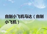 自制小飛機(jī)馬達(dá)（自制小飛機(jī)）