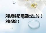 劉曉棕是哪里出生的（劉曉棕）