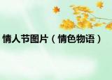 情人節(jié)圖片（情色物語(yǔ)）