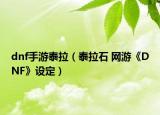 dnf手游泰拉（泰拉石 網(wǎng)游《DNF》設(shè)定）