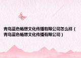 青島藍(lán)色暢想文化傳播有限公司怎么樣（青島藍(lán)色暢想文化傳播有限公司）