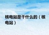 核電站是干什么的（核電站）