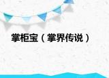 掌柜寶（掌界傳說(shuō)）