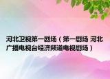 河北衛(wèi)視第一劇場（第一劇場 河北廣播電視臺經(jīng)濟(jì)頻道電視劇場）