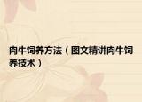 肉牛飼養(yǎng)方法（圖文精講肉牛飼養(yǎng)技術(shù)）