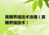 黃鱔養(yǎng)殖技術(shù)池塘（黃鱔養(yǎng)殖技術(shù)）