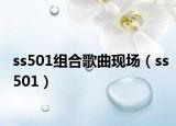 ss501組合歌曲現(xiàn)場（ss501）