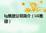 lg集團(tuán)公司簡(jiǎn)介（LG集團(tuán)）