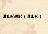 淮山藥圖片（淮山藥）
