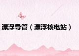 漂浮導(dǎo)管（漂浮核電站）
