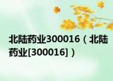 北陸藥業(yè)300016（北陸藥業(yè)[300016]）