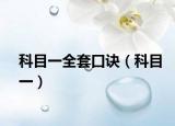 科目一全套口訣（科目一）