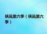 俠嵐第六季（俠嵐第六季）