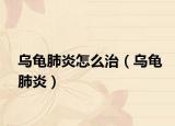 烏龜肺炎怎么治（烏龜肺炎）