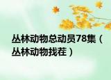 叢林動物總動員78集（叢林動物找茬）