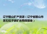 遼寧鞍山礦產資源（遼寧省鞍山市黑石砬子鐵礦床勘探報告）