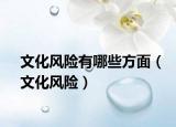文化風(fēng)險(xiǎn)有哪些方面（文化風(fēng)險(xiǎn)）