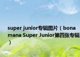 super junior專輯圖片（bonamana Super Junior第四張專輯）