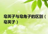 皂莢子與皂角子的區(qū)別（皂莢子）