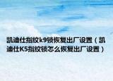 凱迪仕指紋k9鎖恢復出廠設(shè)置（凱迪仕K5指紋鎖怎么恢復出廠設(shè)置）