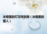 冰箱里的燈怎樣拆換（冰箱里的愛人）