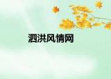 泗洪風情網(wǎng)